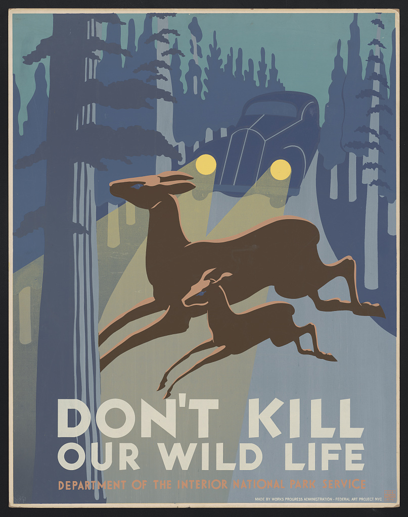 Don't Kill poster