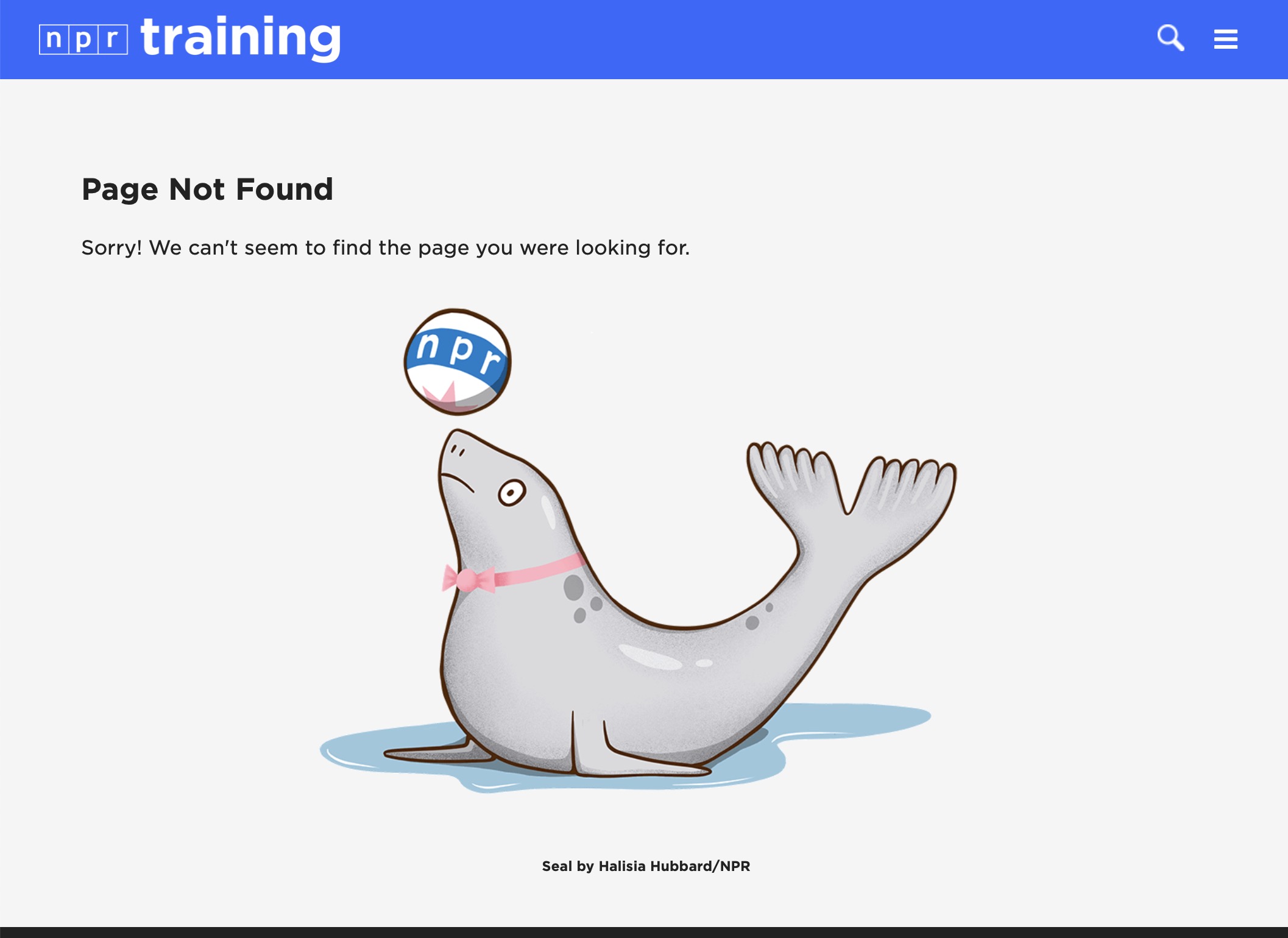 screenshot of NPR Training site's fail pet