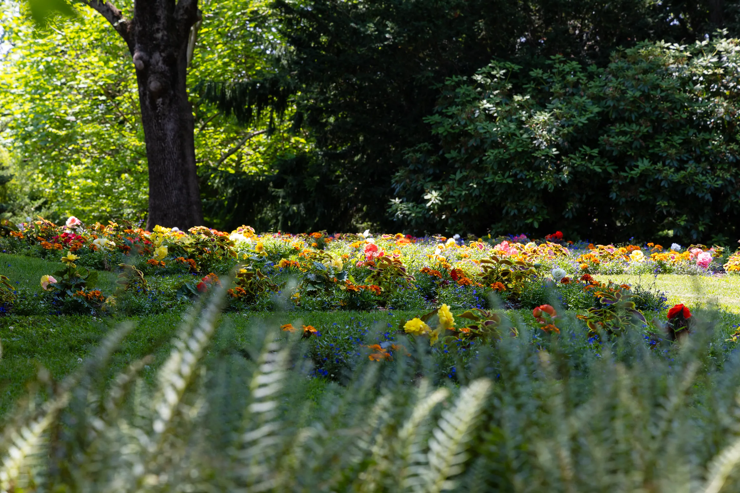 flowers in chevrons