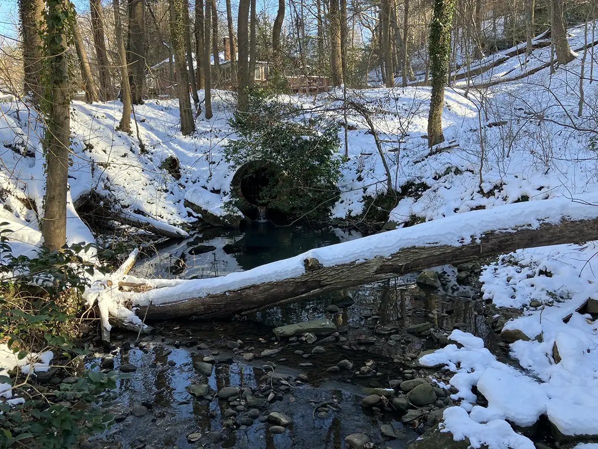 photo of stream flowing out of a culvert