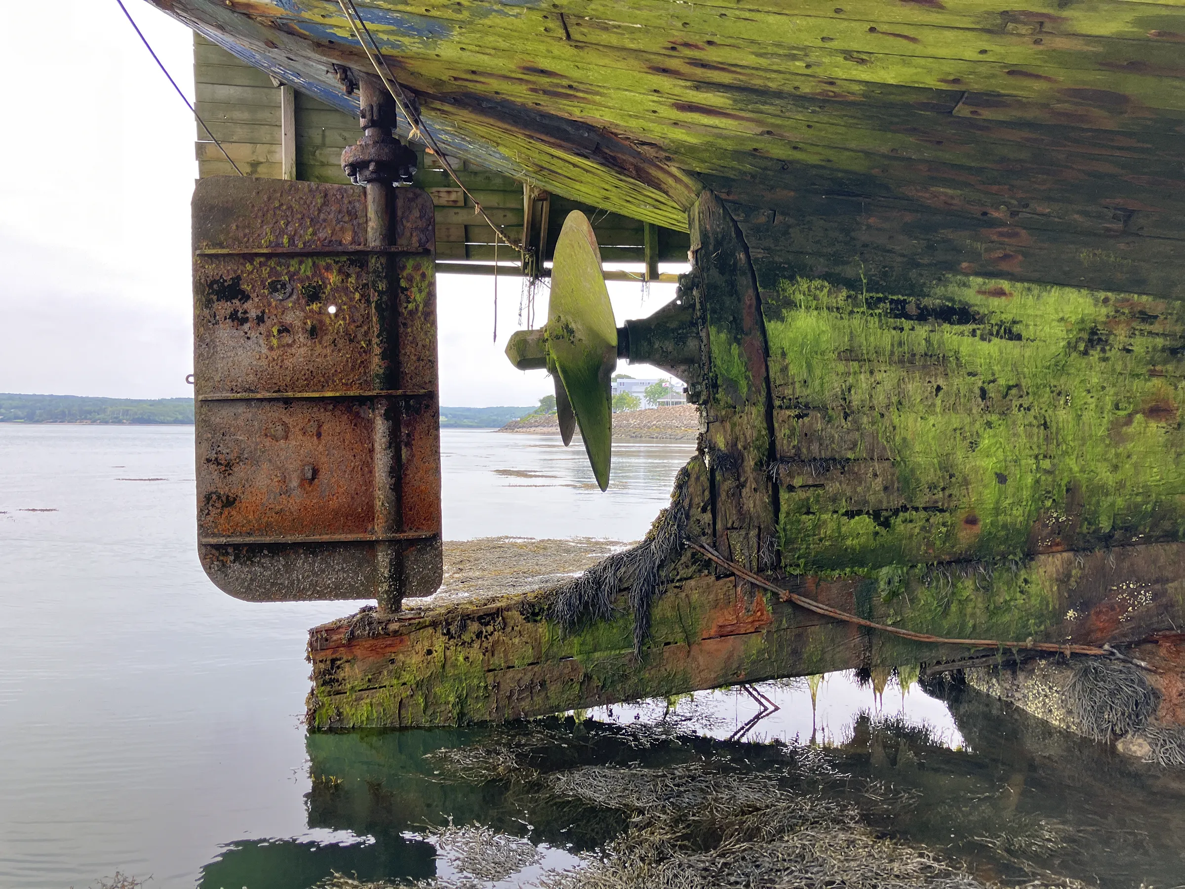 stern of a boat
