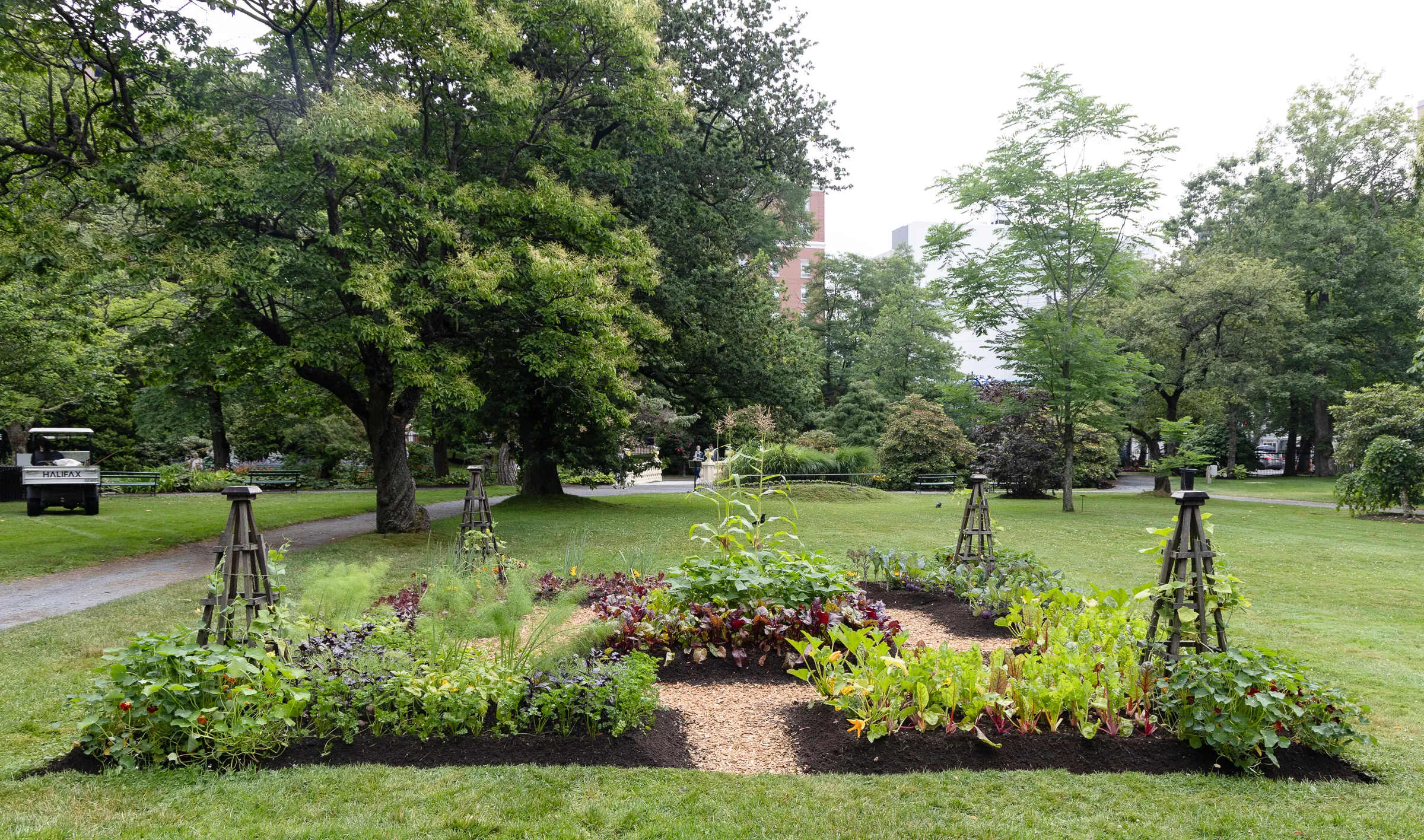 vegetable garden