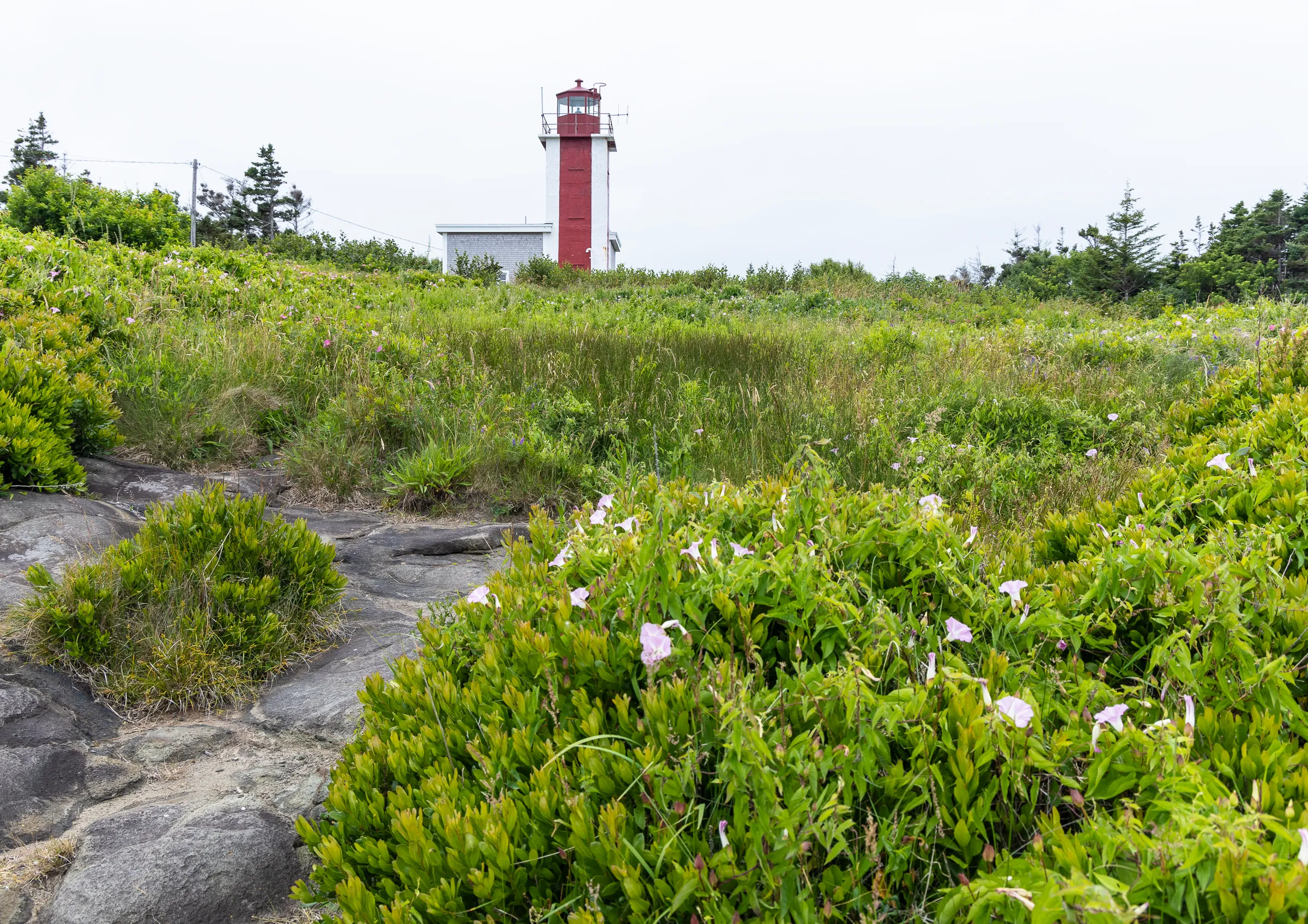 lighthouse